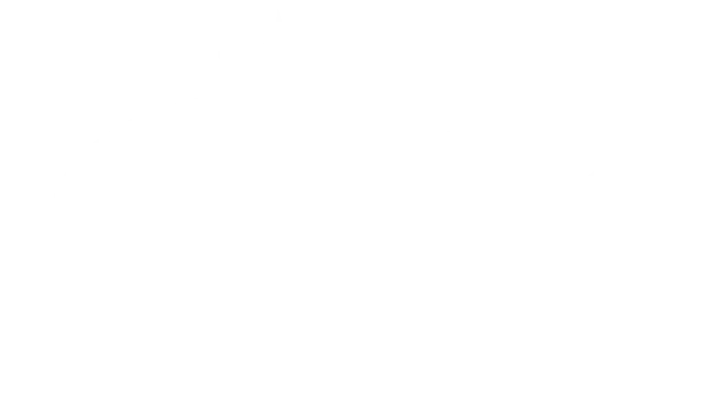 Logo Salveo
