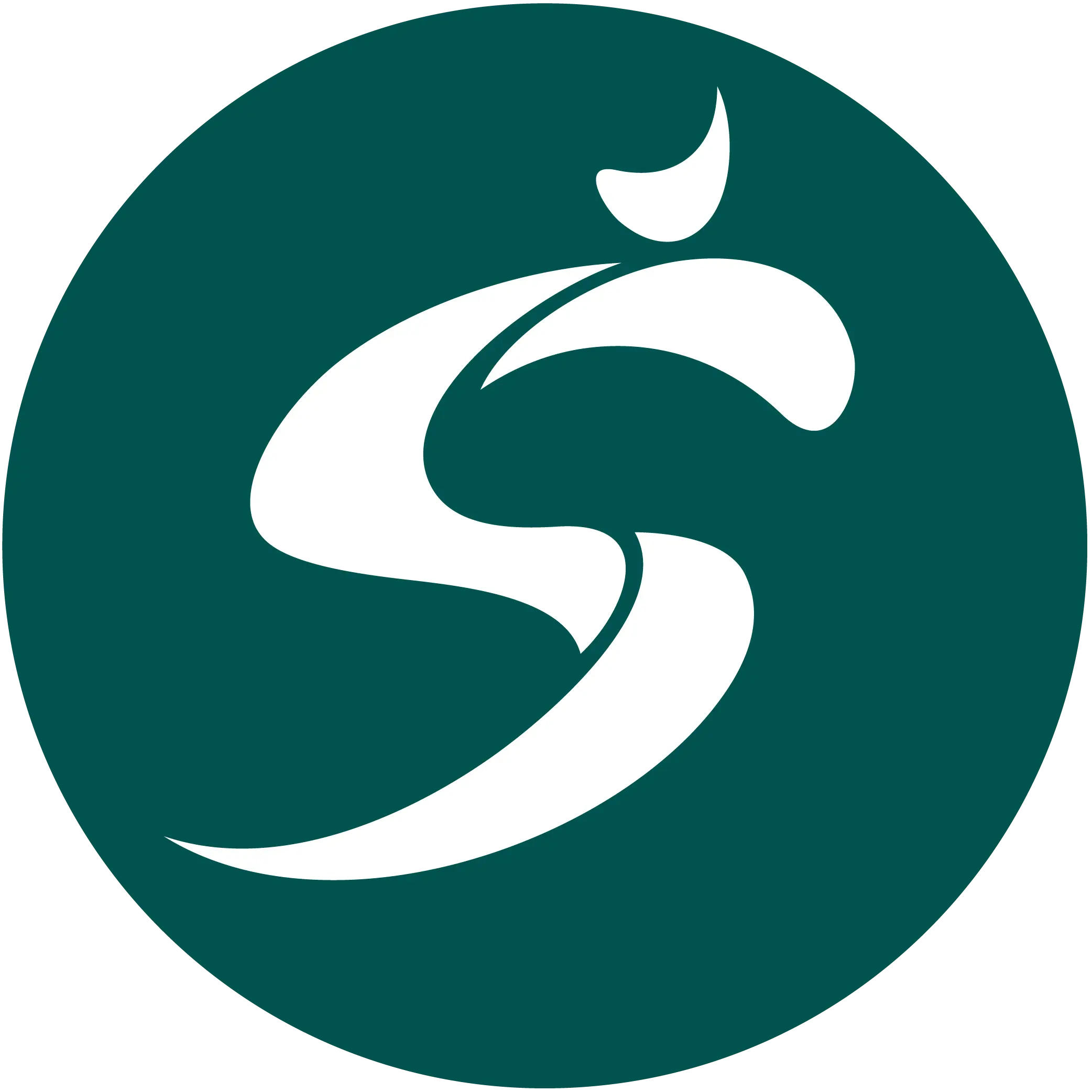 tester-salveo-logo